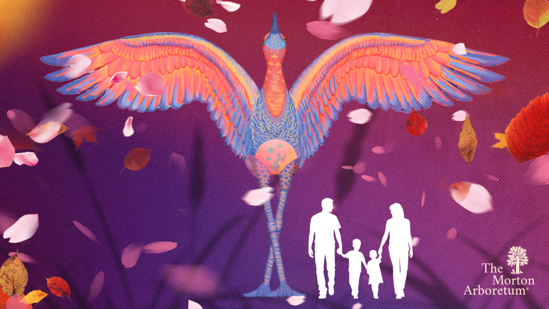 The Morton Arboretum