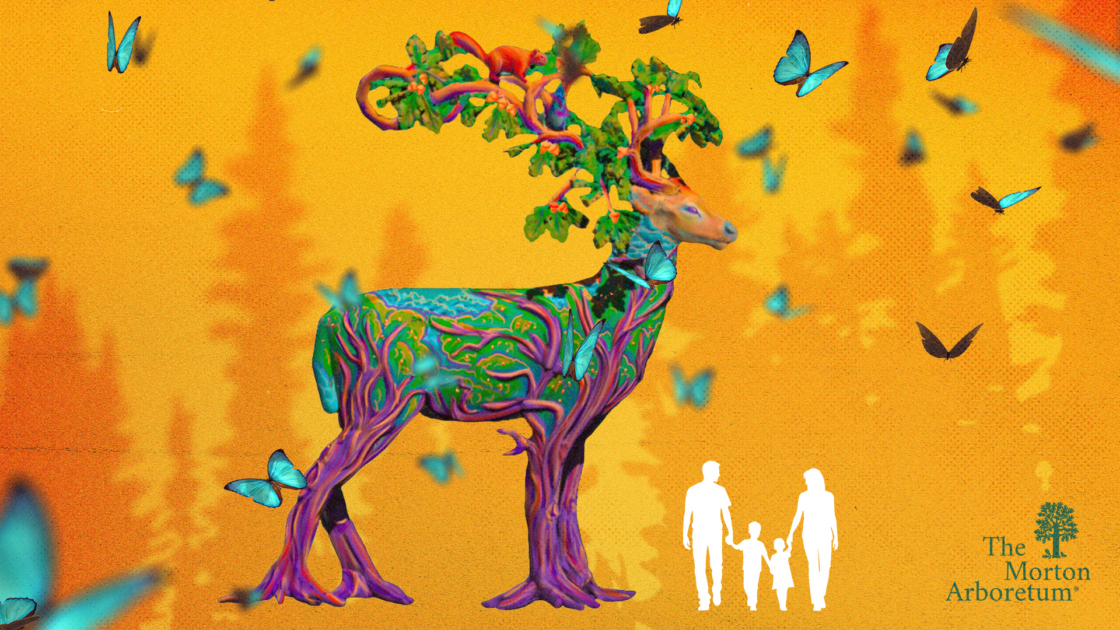 The Morton Arboretum