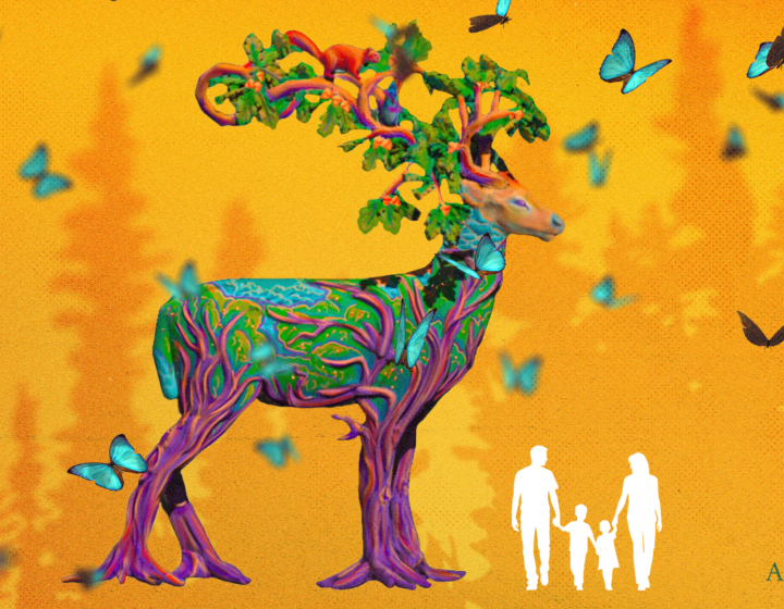 The Morton Arboretum