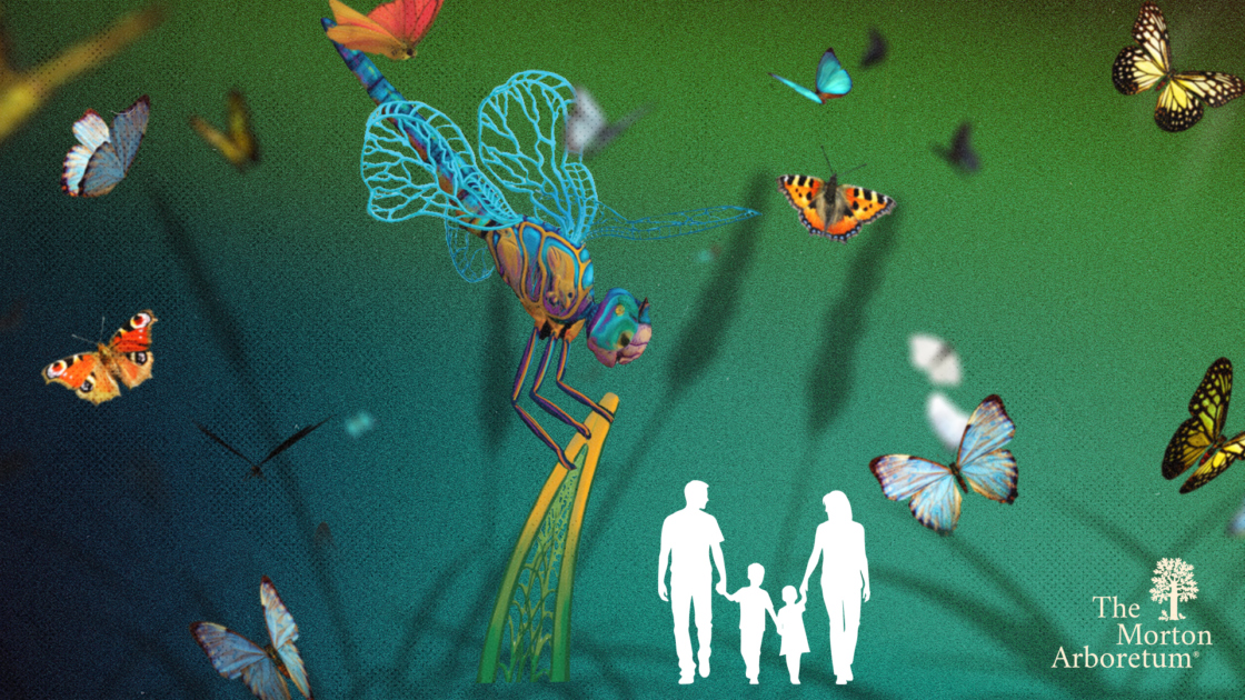 The Morton Arboretum