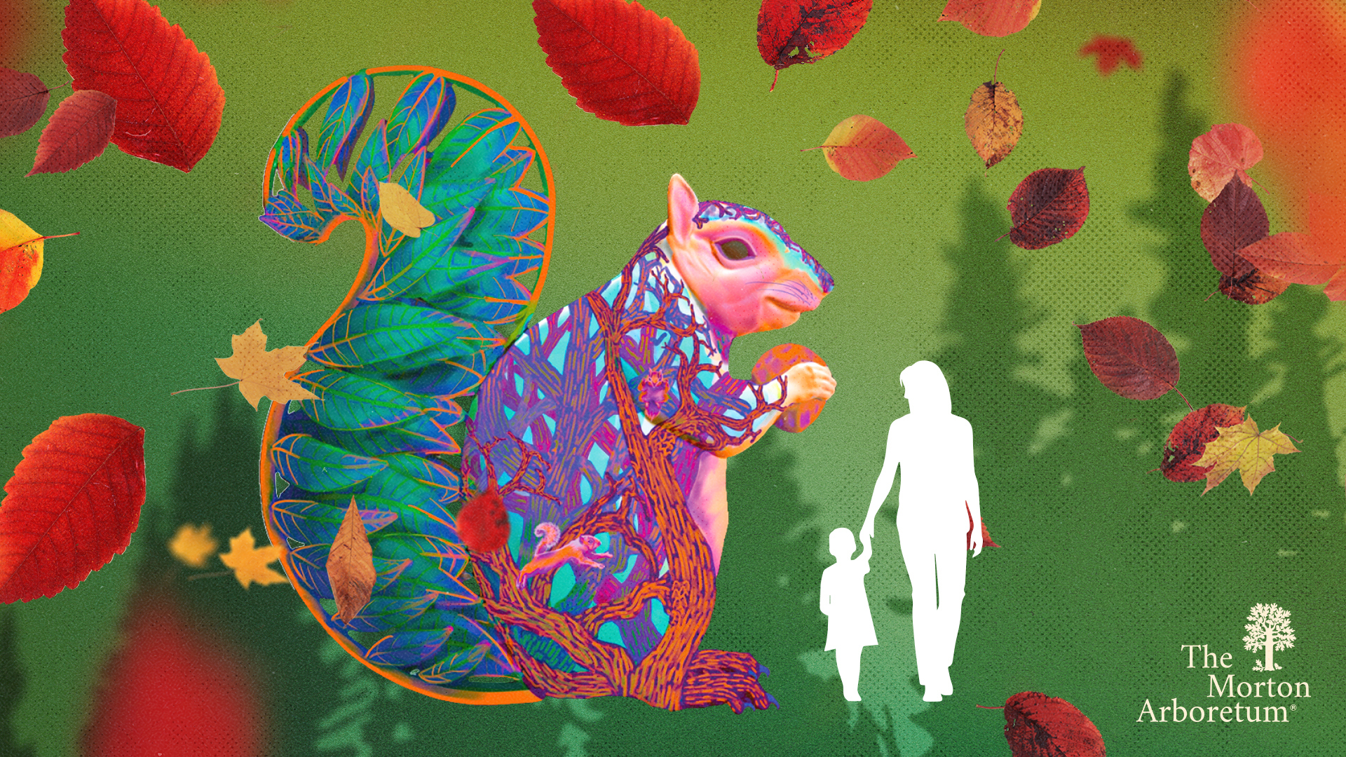 Press Release: The Morton Arboretum announces special summer