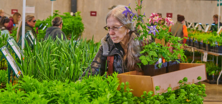 A member shops at the Arbor Day Plant Sale and has a box full of colorful plants.
