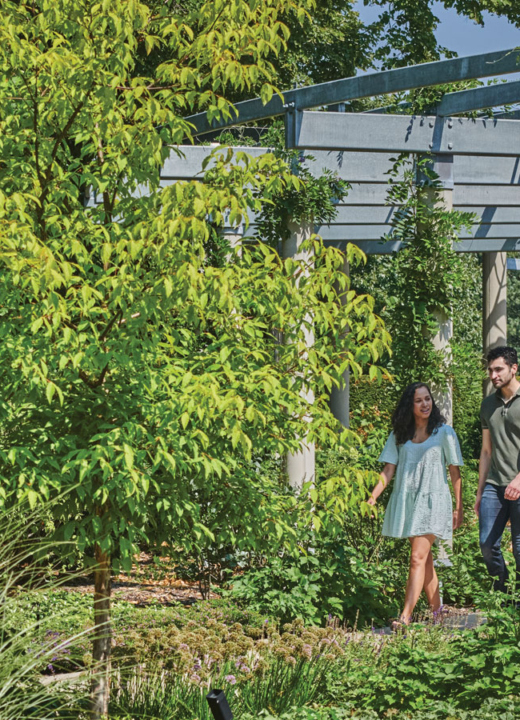 Arbor Day Plant Sale The Morton Arboretum