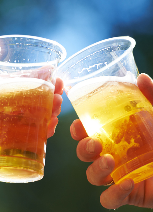 The Morton Arboretum