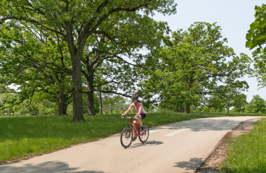 The Morton Arboretum