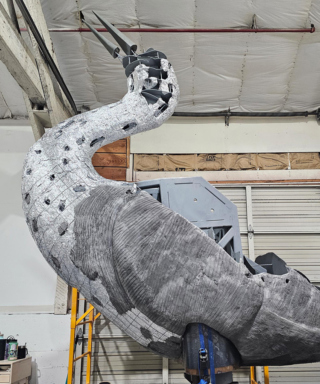 The Morton Arboretum