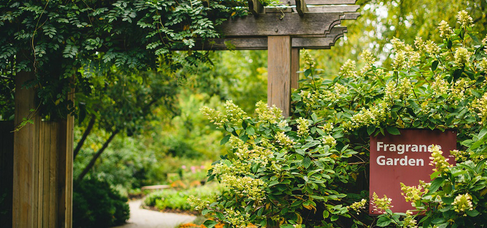 Plants blooming at the entrance to the Fragrance Garden at The Morton Arboretum