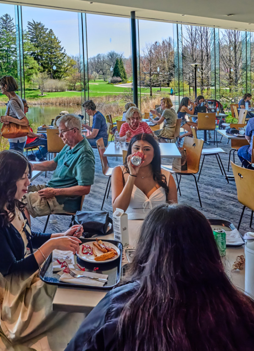 The Morton Arboretum