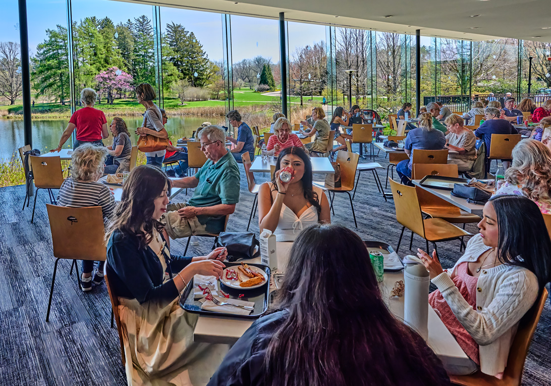 The Morton Arboretum