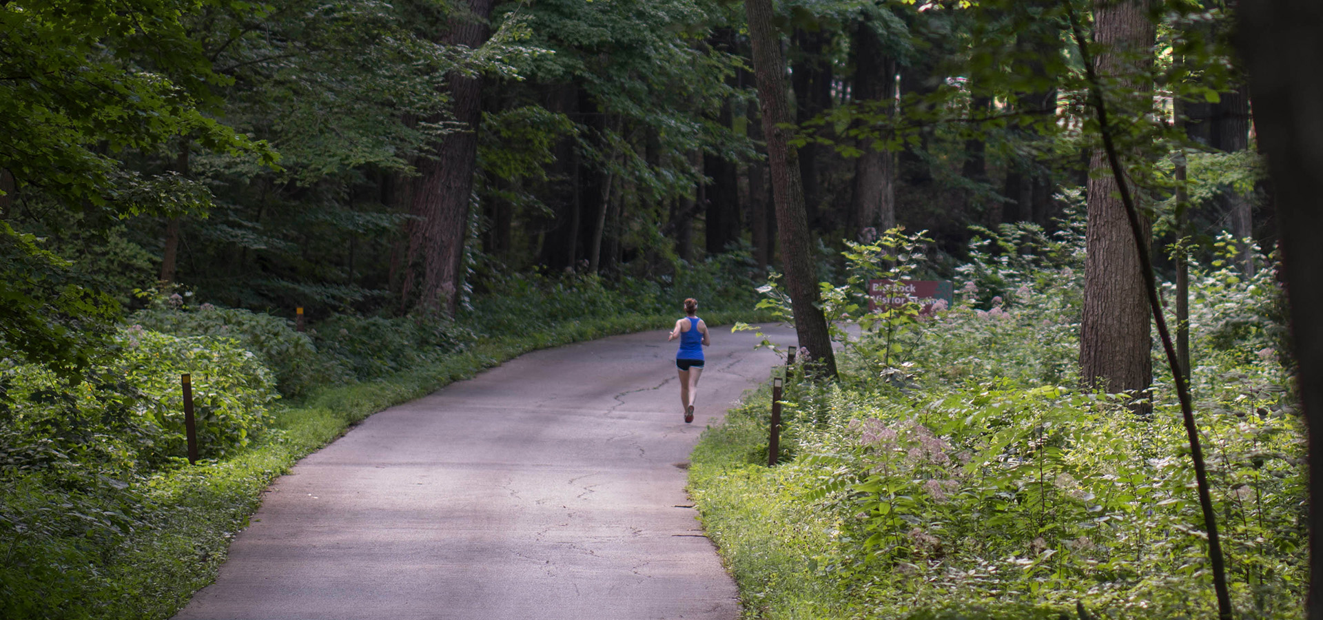 A woman running on a paved road surrounded by tall green trees in summer.