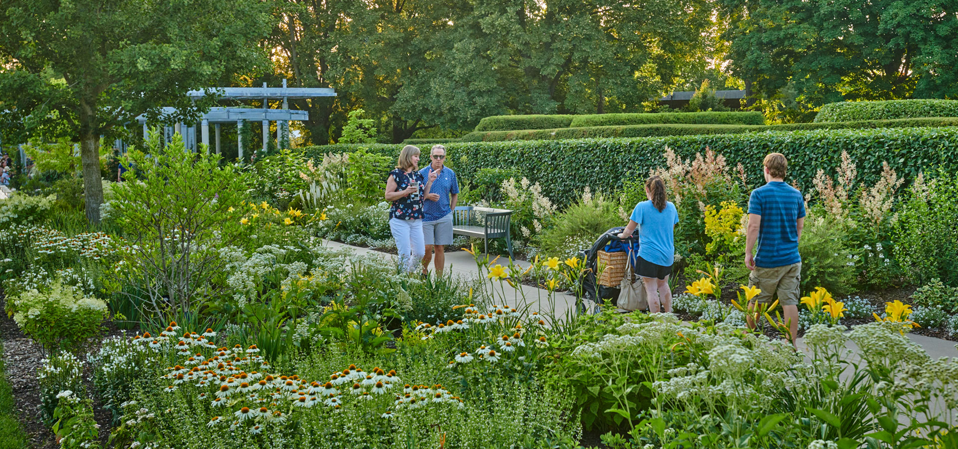 The Morton Arboretum