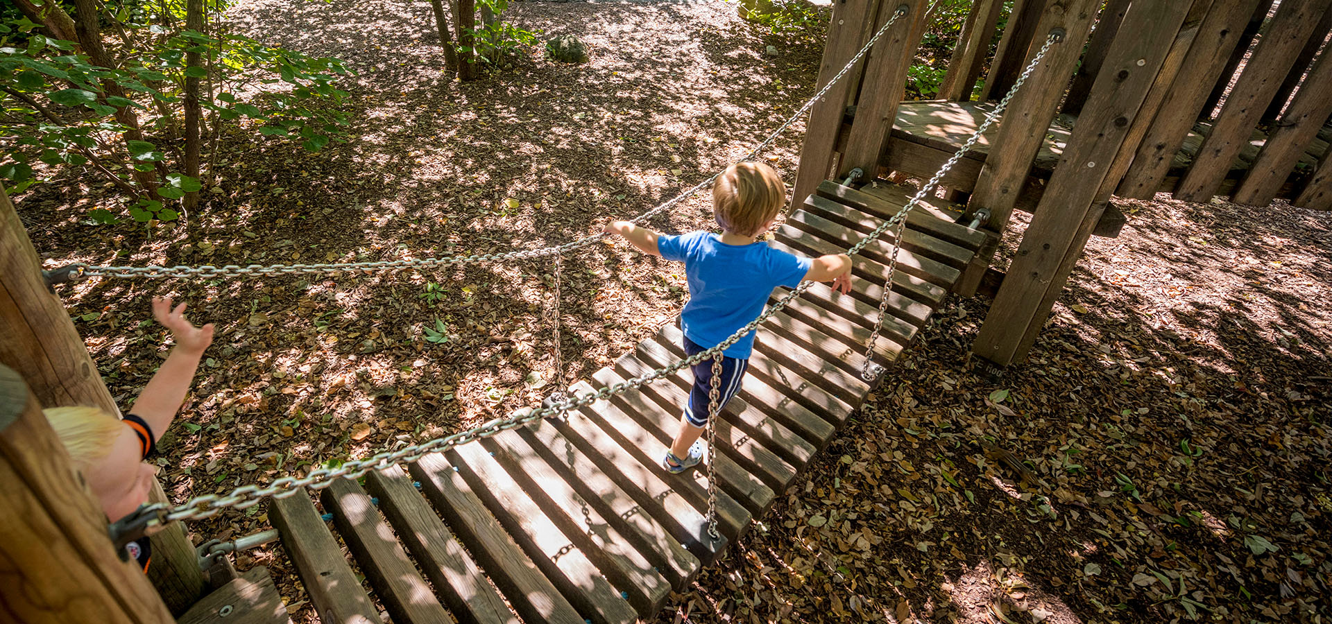 The Morton Arboretum