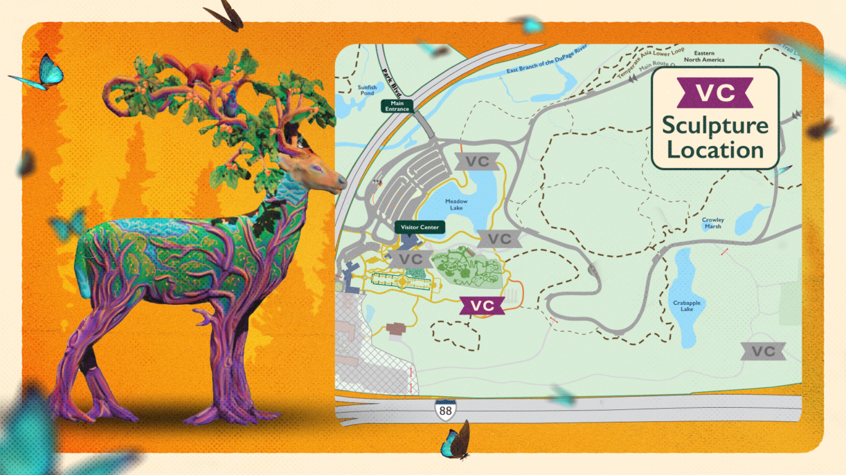 Artist's rendering of Generosity the white-tailed deer and a map showing sculpture locations.
