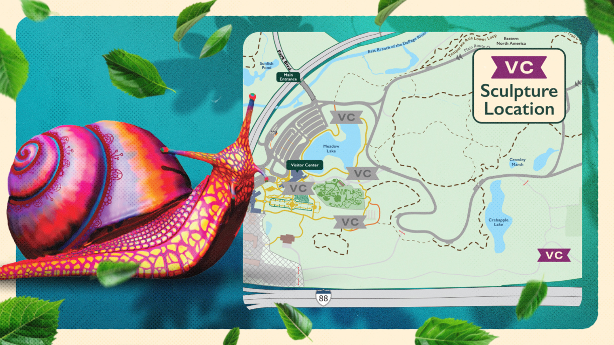 Artist's rendering of Spectra the button snail and a map showing sculpture locations.