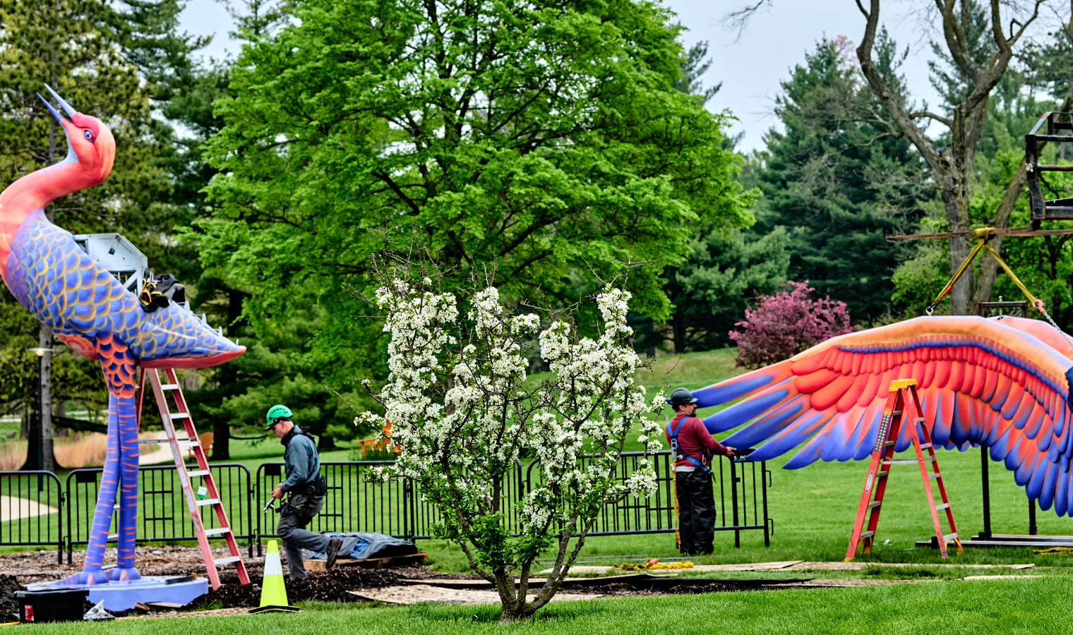 The Morton Arboretum
