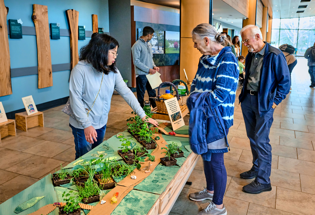 The Morton Arboretum