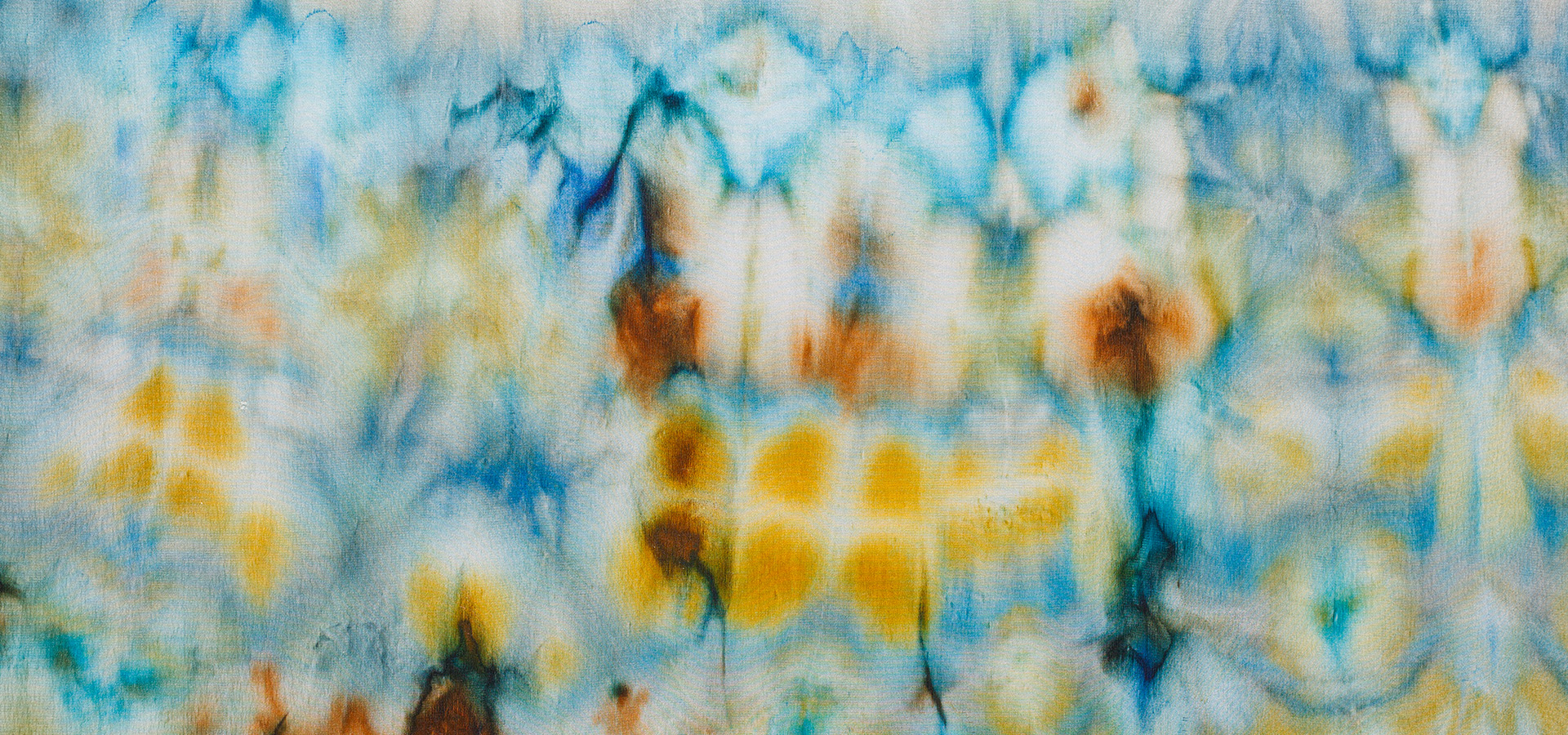 The Morton Arboretum