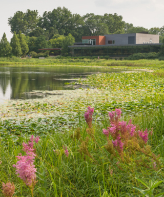 The Morton Arboretum