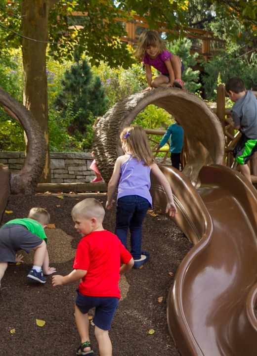 Kids running and climbing on play equipment that resembles tree trunks and roots i n the Children's Garden.