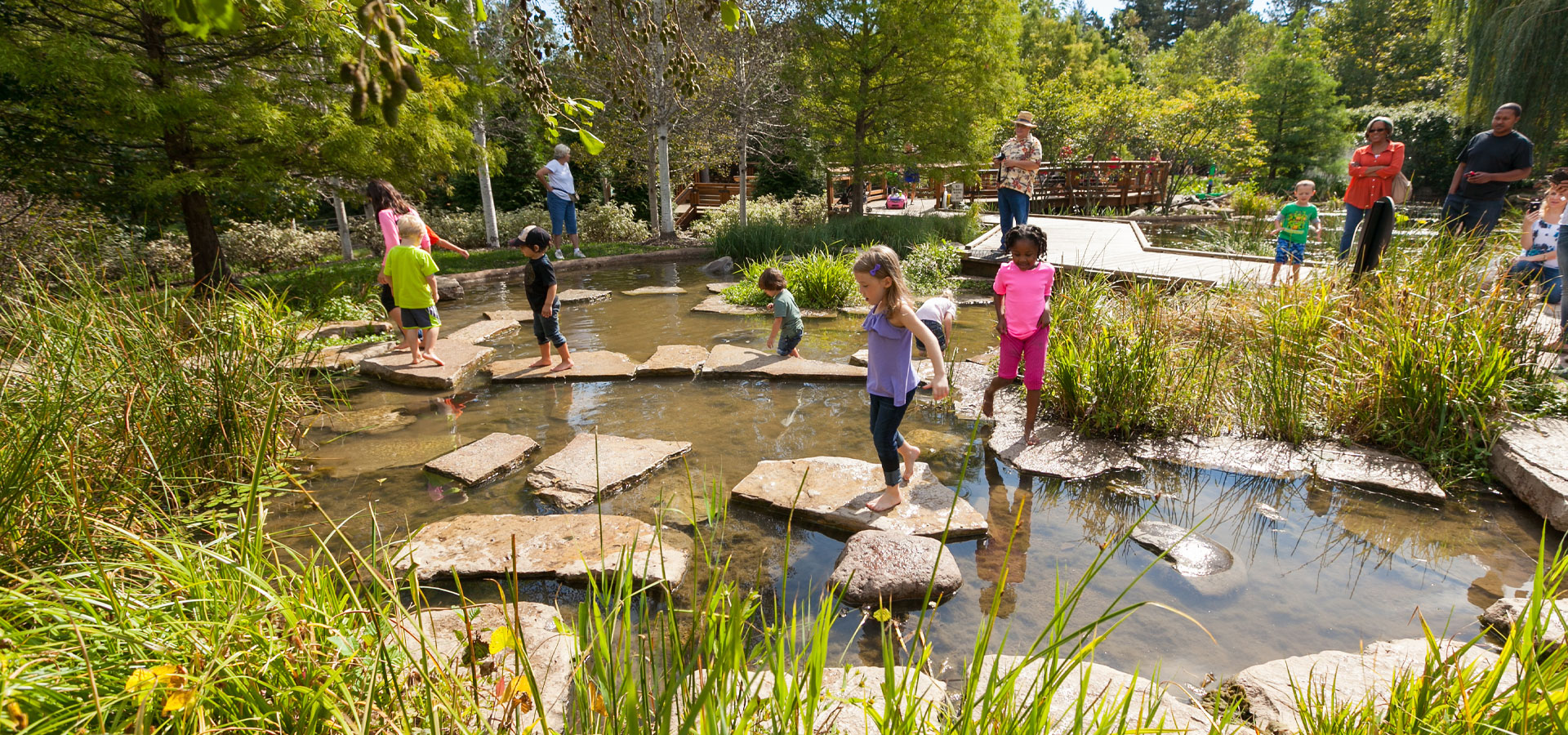 The Morton Arboretum