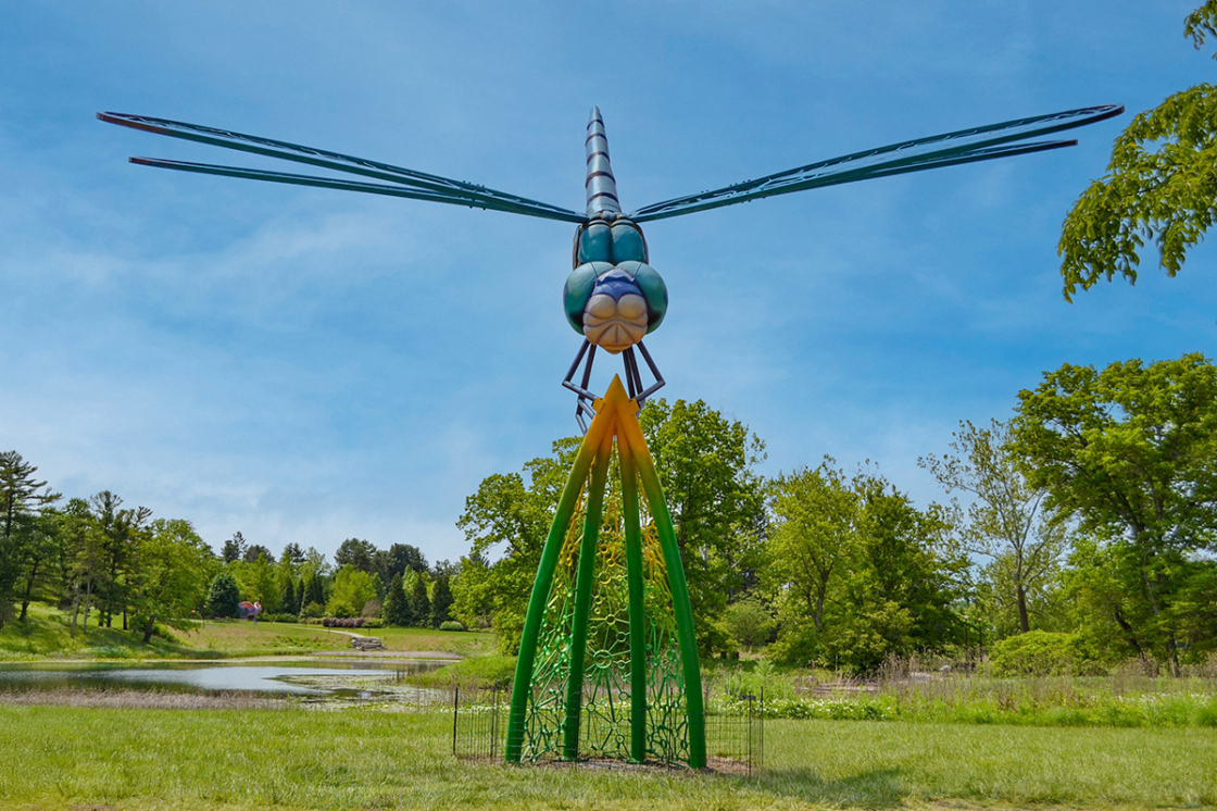 Nimbly, a dragonfly, is a sculpture in the Vivid Creatures exhibition
