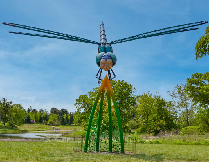 Nimbly, a dragonfly, is a sculpture in the Vivid Creatures exhibition