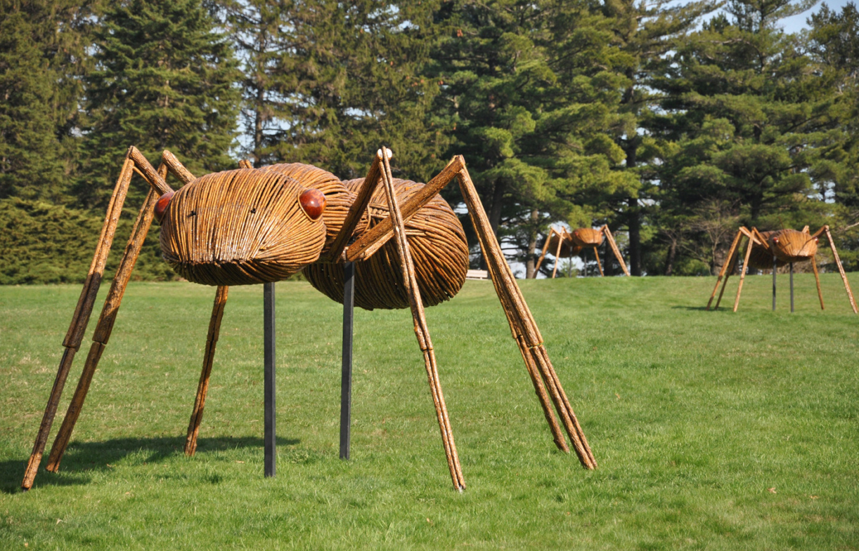 The Morton Arboretum