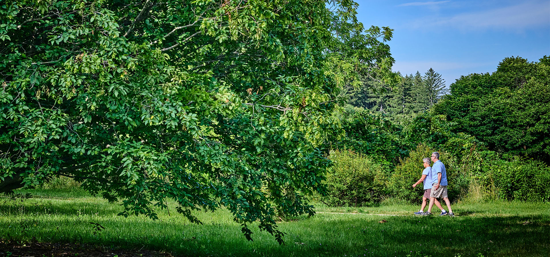 The Morton Arboretum