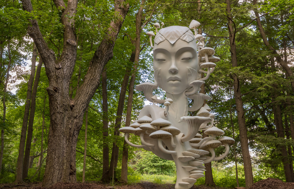 The Morton Arboretum