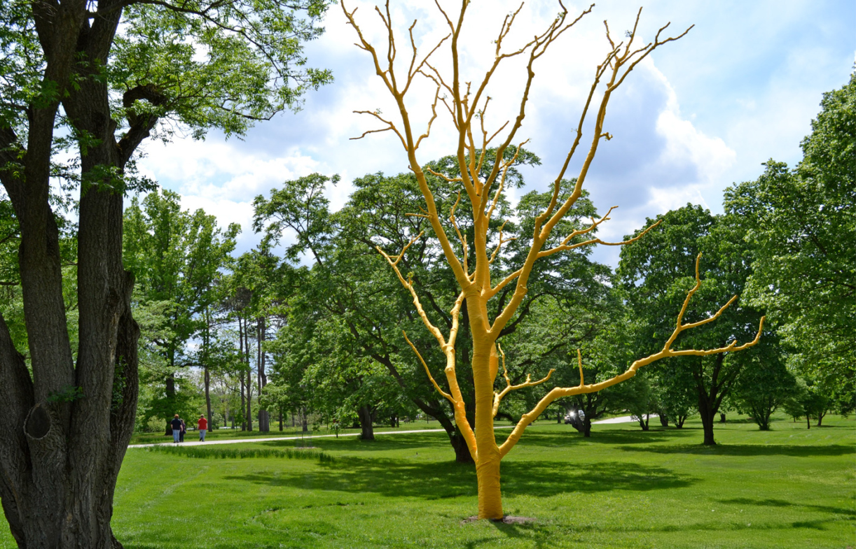 Sculpture of a life-size, leafless tree wrapped in yellow tape