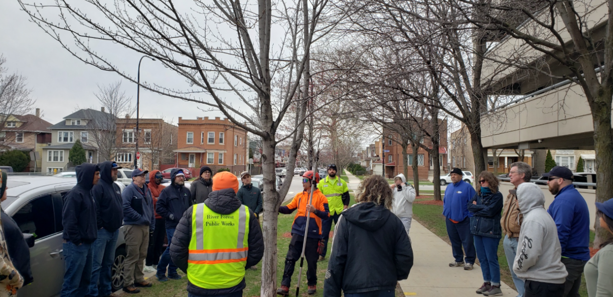 The Morton Arboretum