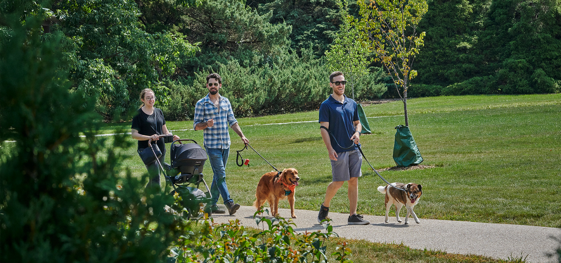 Guests walk dogs on a paved path on a sunny summer day