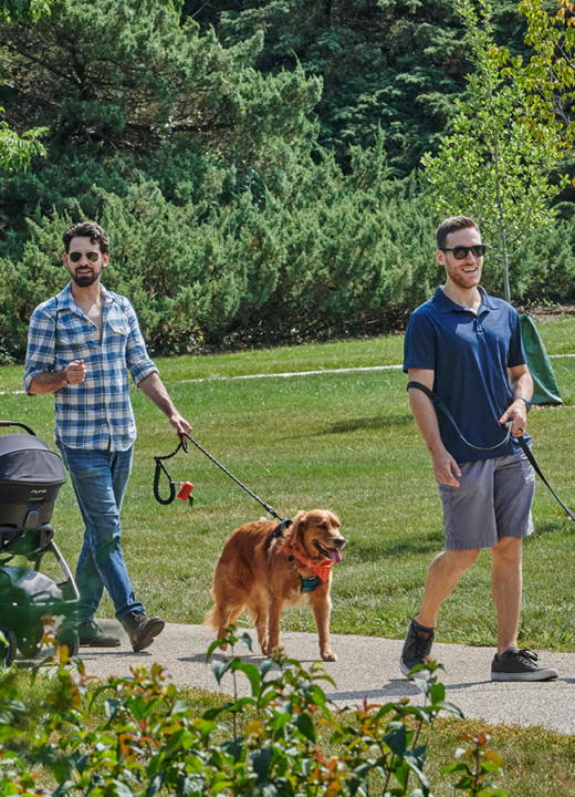 Guests walk dogs on a paved path on a sunny summer day