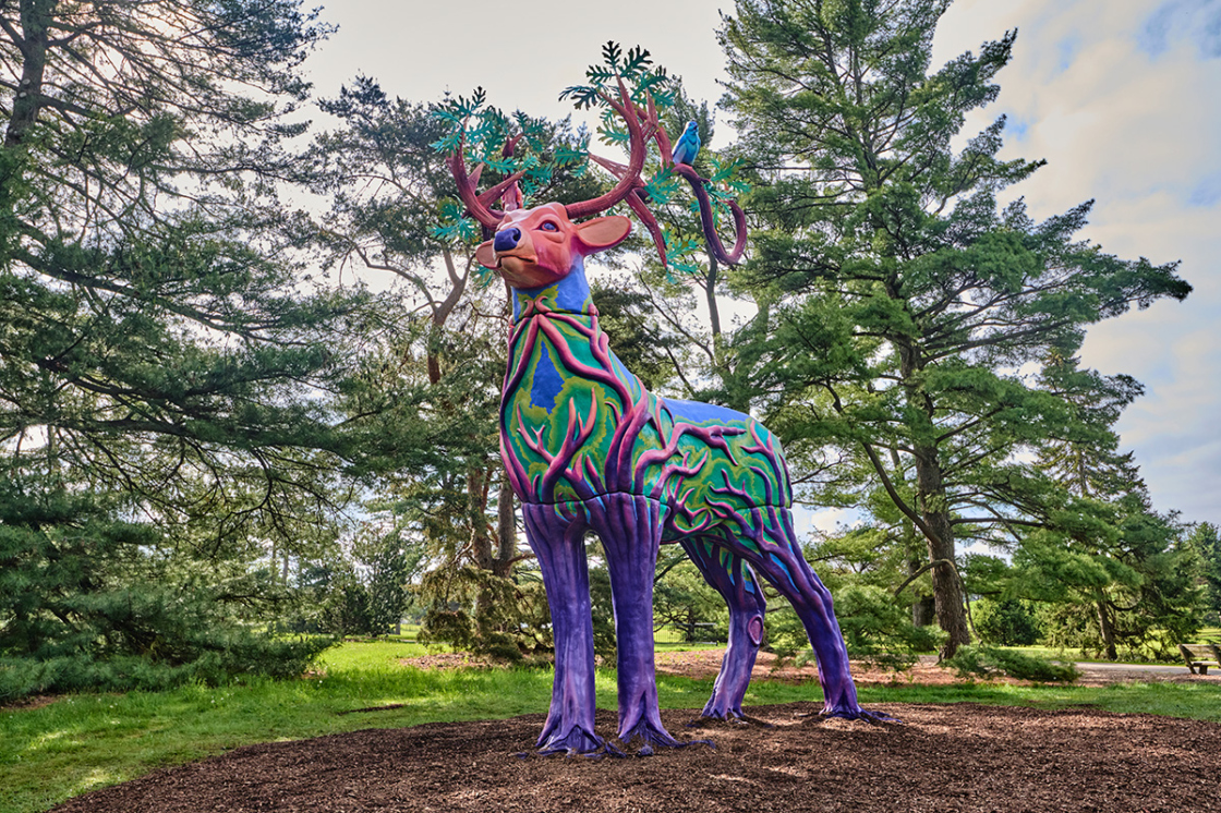 Generosity, a white tailed deer, is a sculpture in the Vivid Creatures exhibition