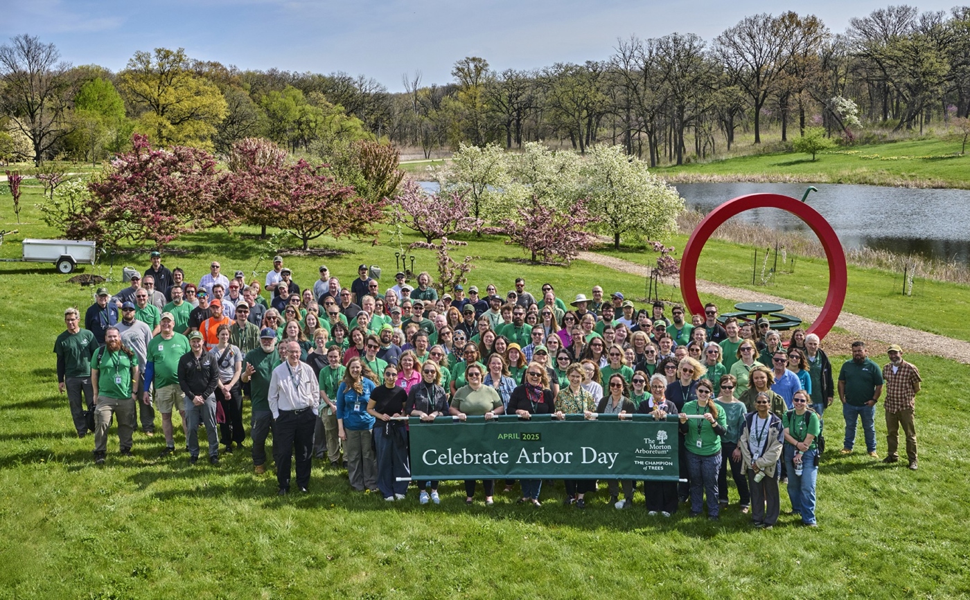 The Morton Arboretum