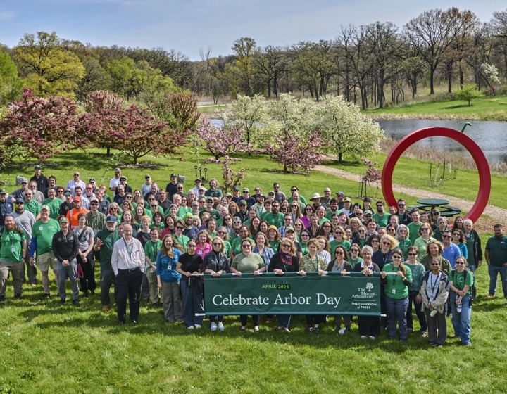 The Morton Arboretum