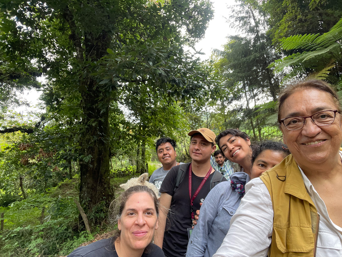 The Morton Arboretum