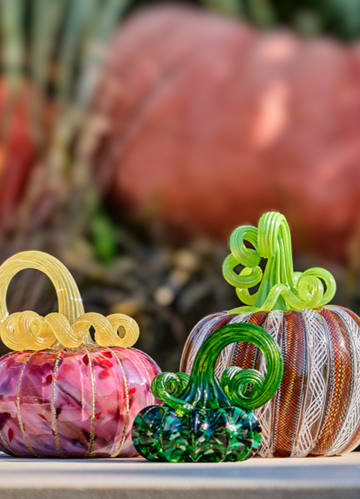 The Morton Arboretum