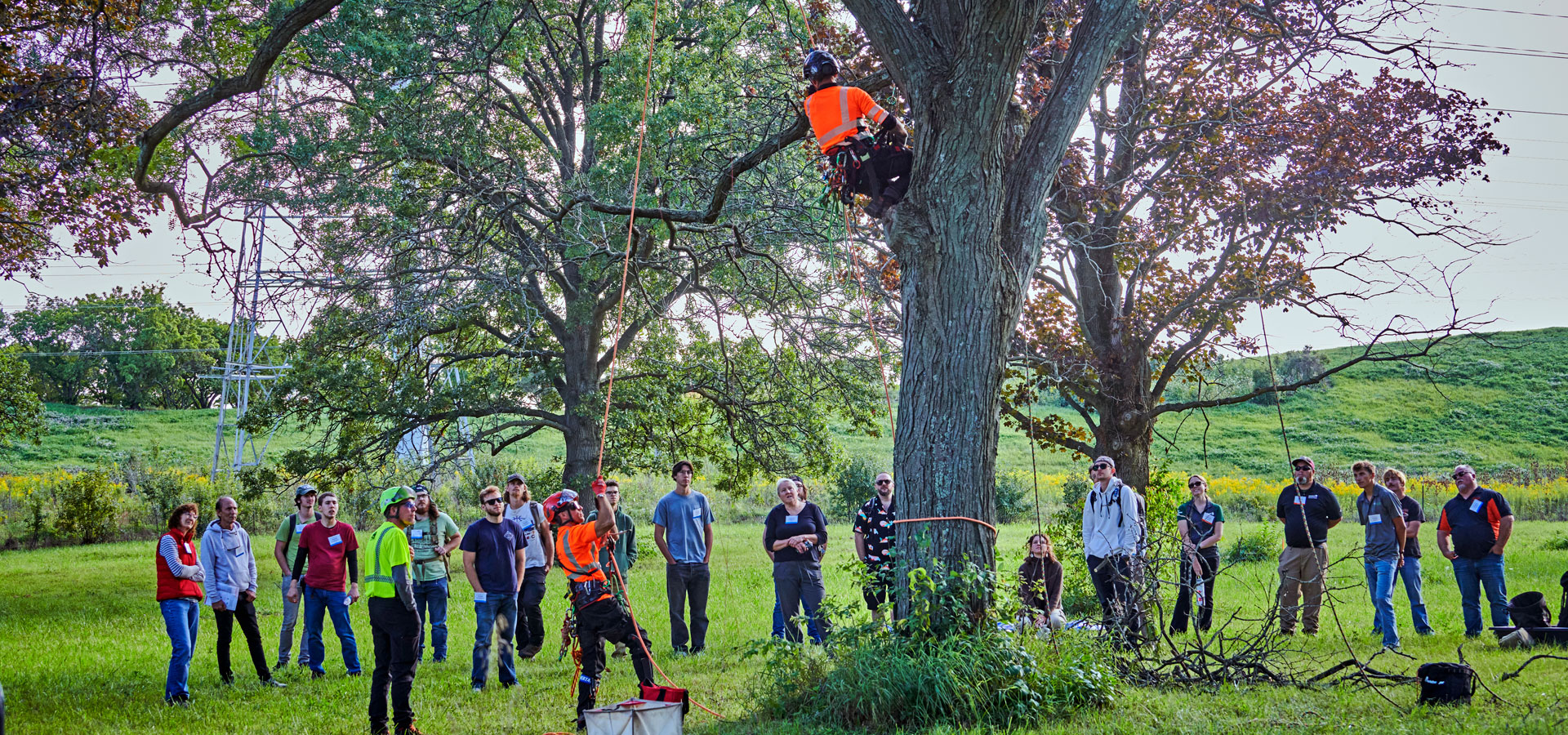 A group of people partake in arborist training at the Gateway to Tree Science.