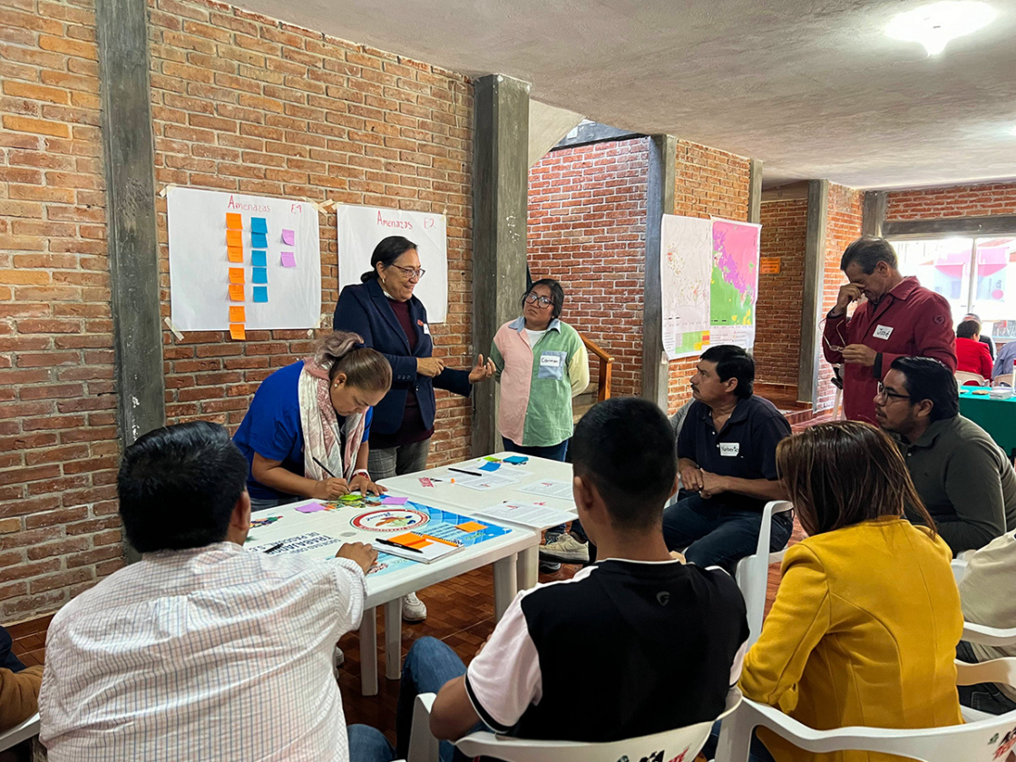 Volunteers attend a conservation workshop.