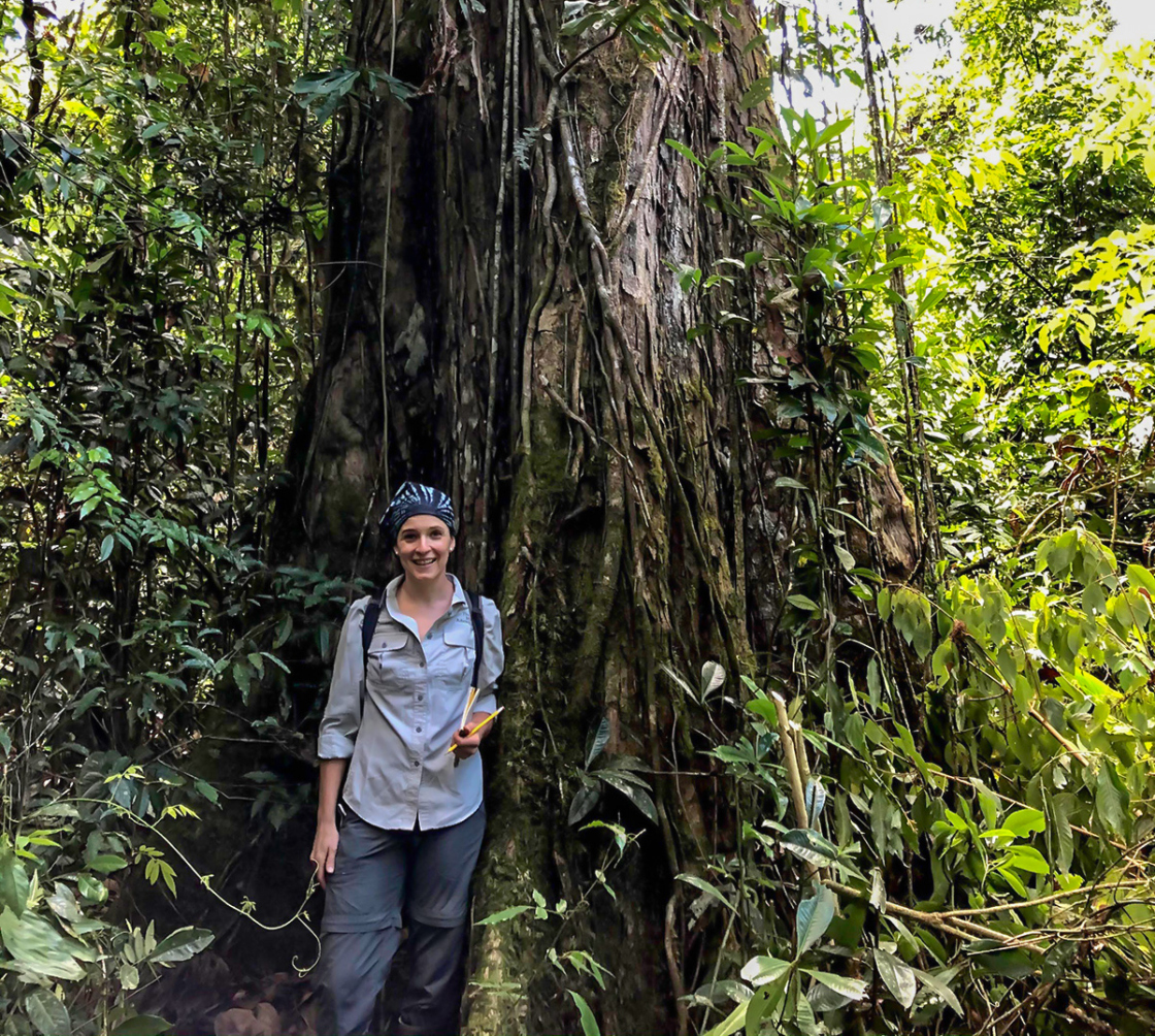 A volunteer stands in front of a massive oak tree with buttress roots, surrounded by tropical vegetation.