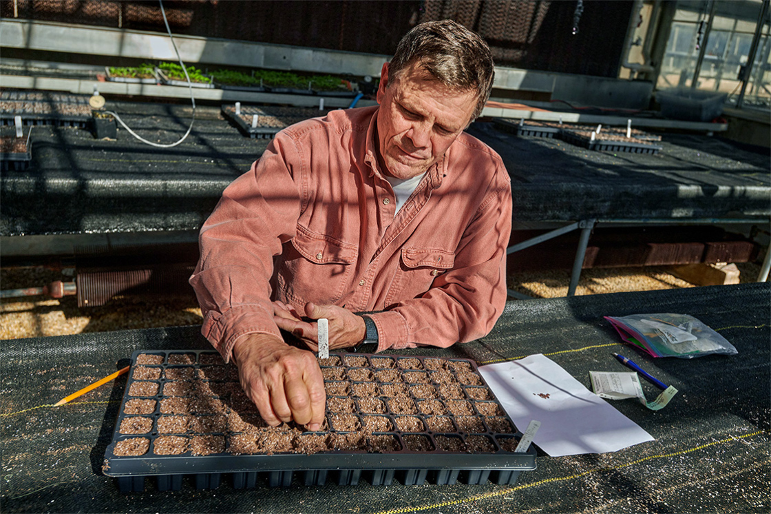 The Morton Arboretum