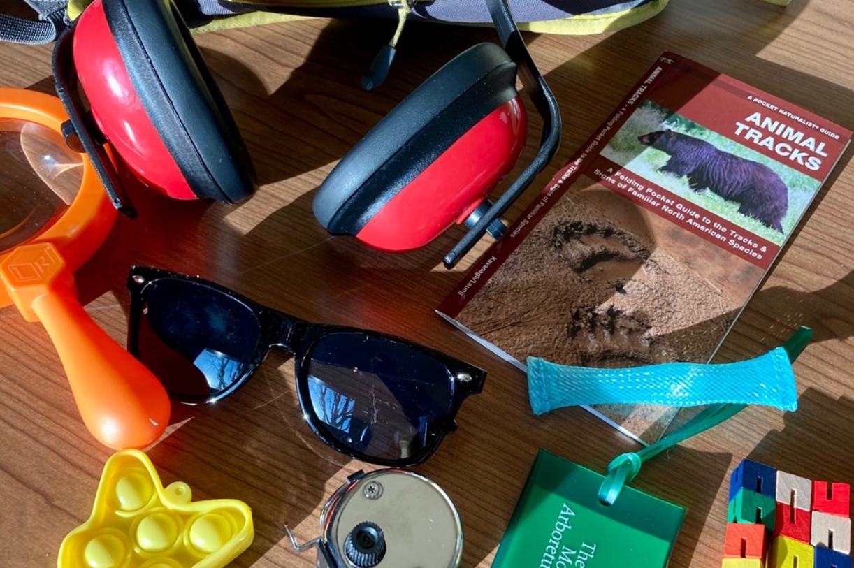 The Morton Arboretum