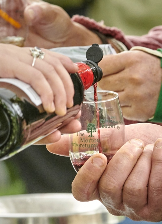 The Morton Arboretum