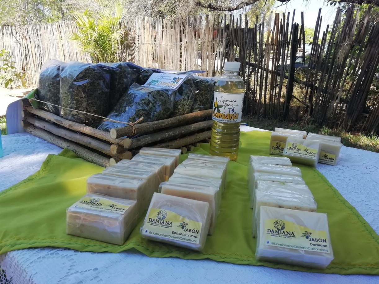 The Morton Arboretum