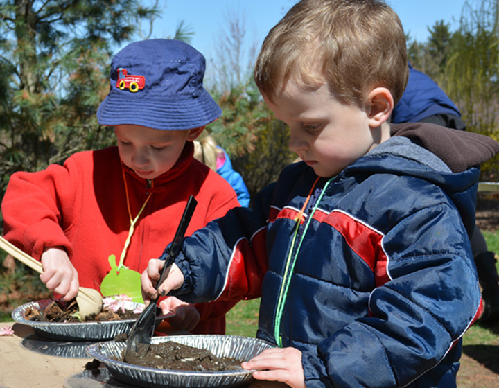The Morton Arboretum