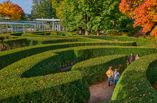 The Morton Arboretum