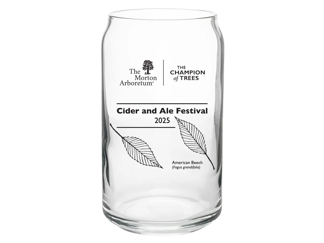 The Morton Arboretum