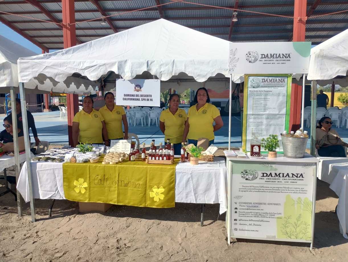 The Morton Arboretum