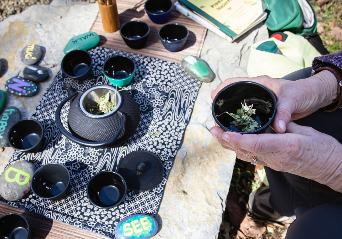 The Morton Arboretum